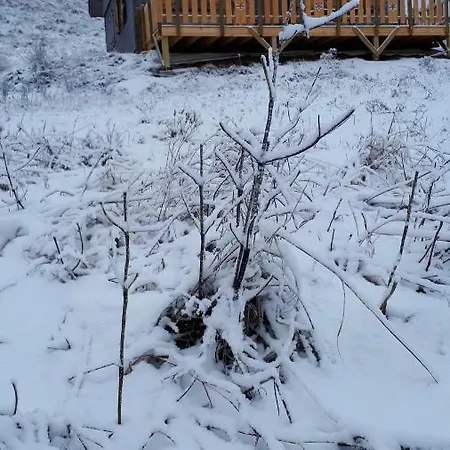 Alpstuga Chalet 